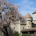 Château