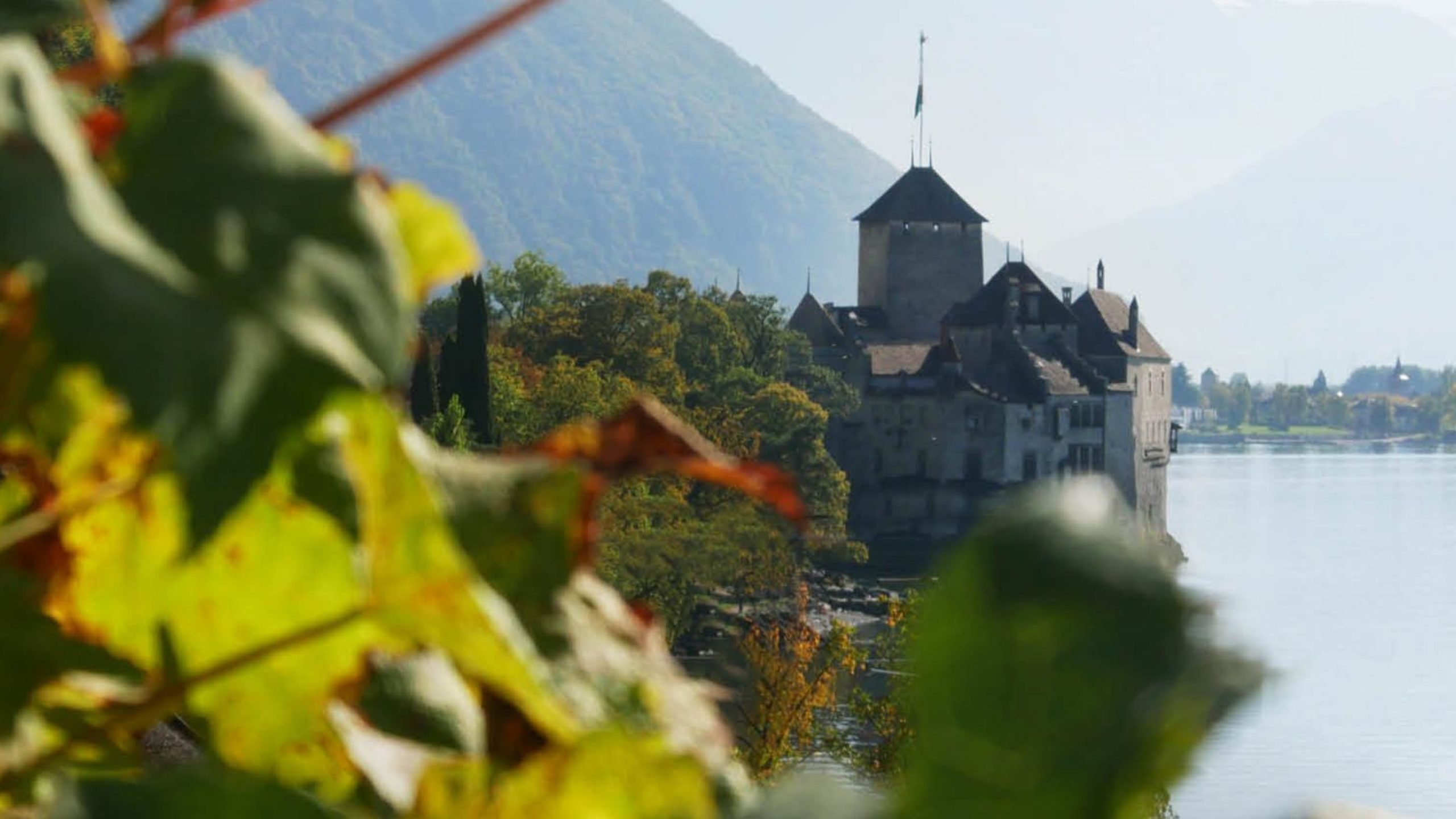 Mise en bouteilles à l’ancienne du Clos de Chillon