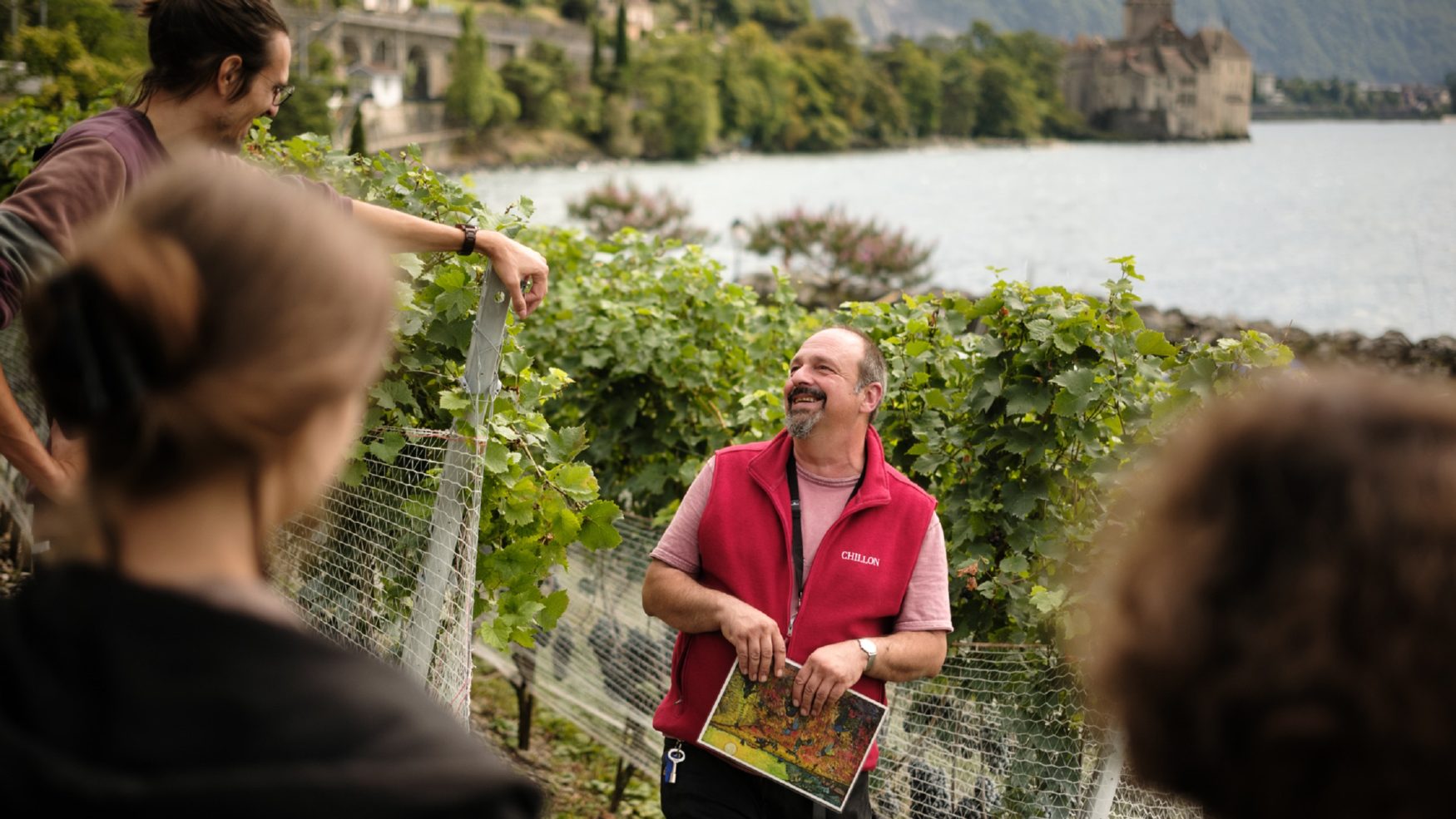 Guided wine tour - 26.07.2025